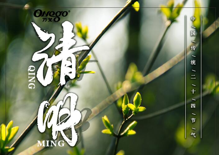 清明時節雨紛紛，萬戈好紙送健康！