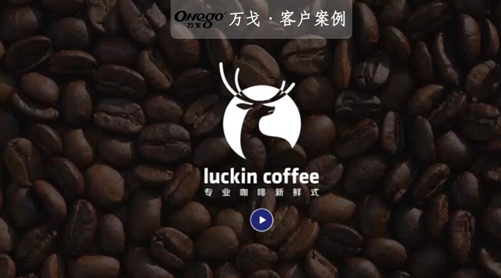 厲害了我的小伙伴！明星級的投入，開50平米小店！